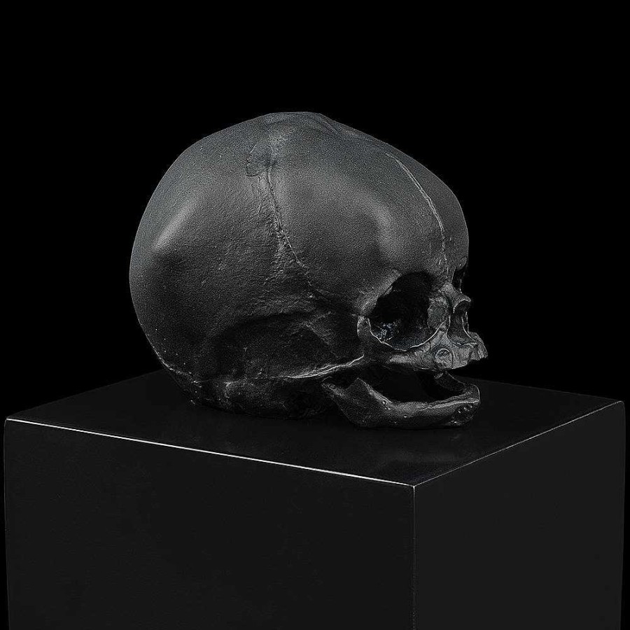 Lalique Eeuwige Herinnering, Damien Hirst & Lalique, 2017 Zwart Kristal/Verloren Wastechniek De Kunststukken